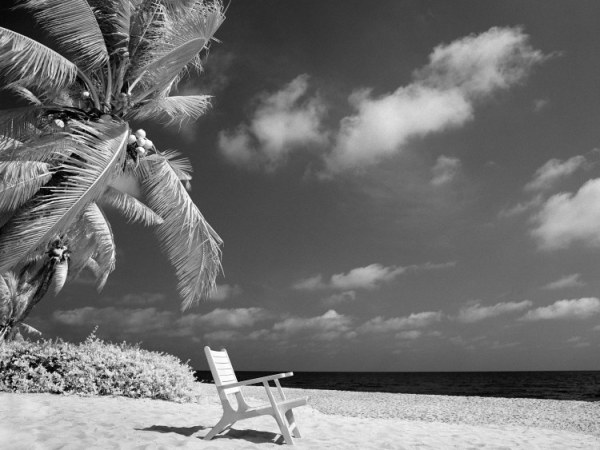 See the Unseen&nbsp;Light