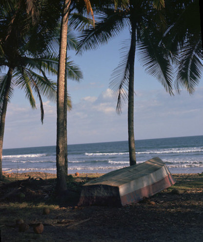 See to the&nbsp;Horizon