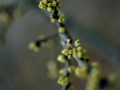 Stuck in a Rut? Get&nbsp;Closer!