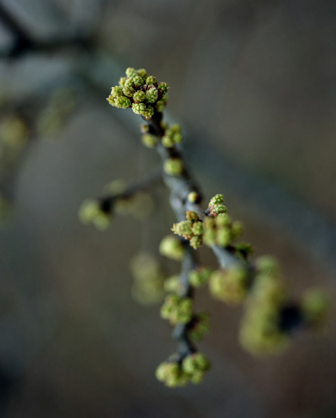 Stuck in a Rut? Get Closer!